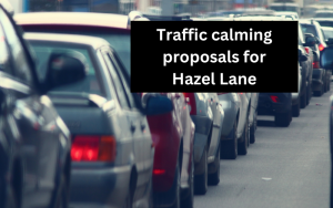 Traffic-calming-proposal