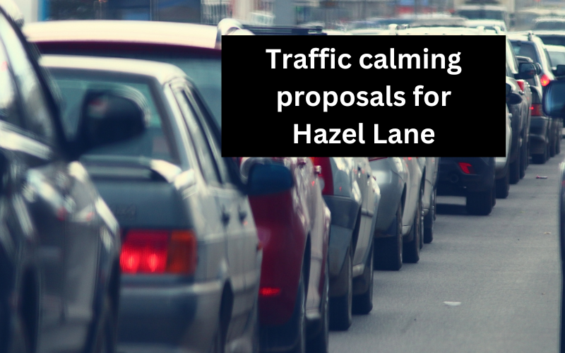 Traffic-calming-proposal